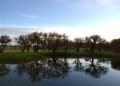 Bosque de los Constituyentes en Rosario