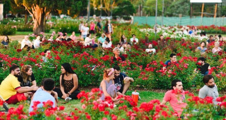 Primavera en Rosario