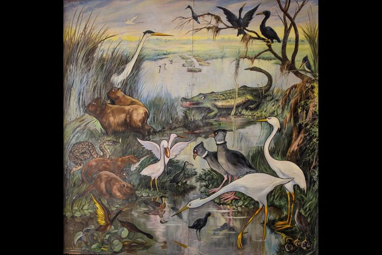 Fauna acuática" - Óleo - Raúl Domínguez