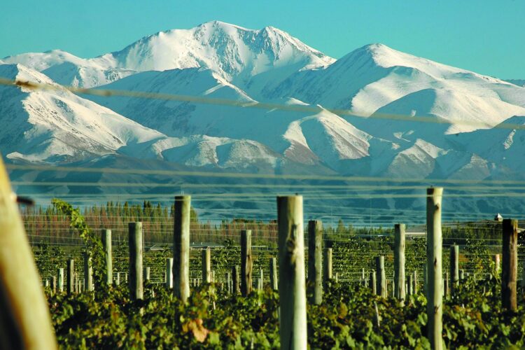 Bodegas en Mendoza