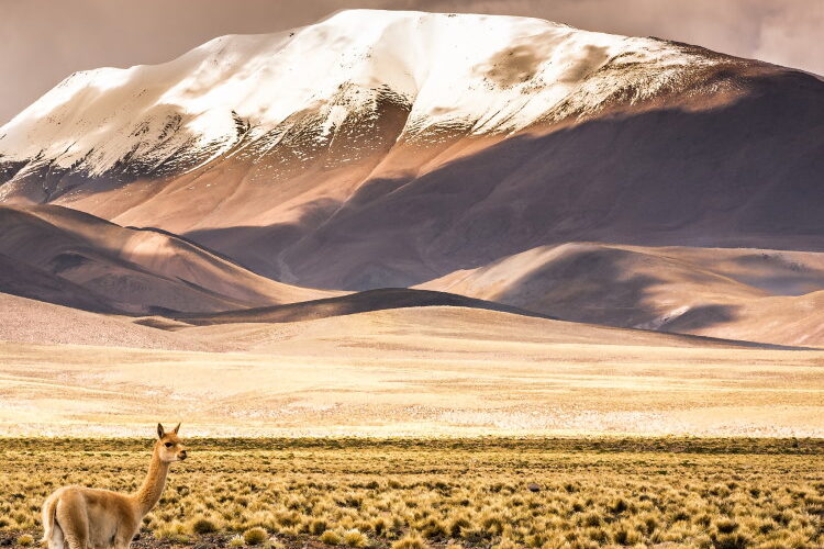 Cuál es el lugar más visitado de Argentina