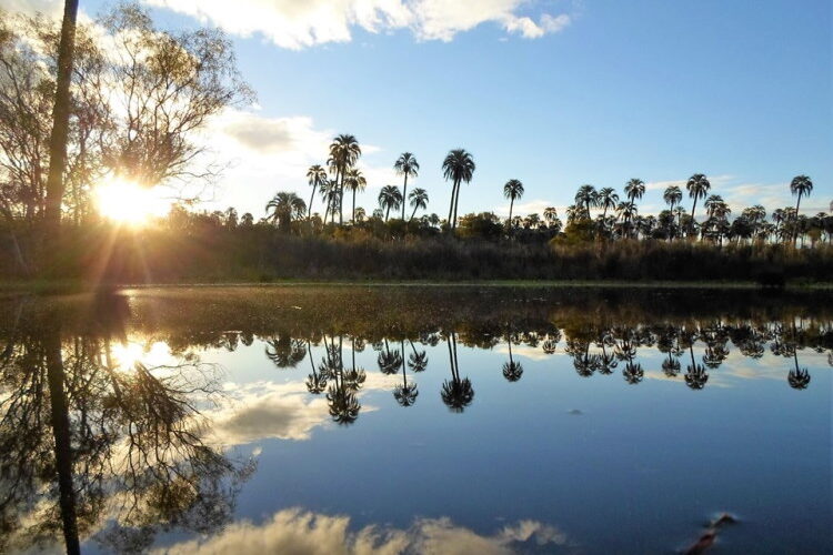 Parque Nacional El Palmar