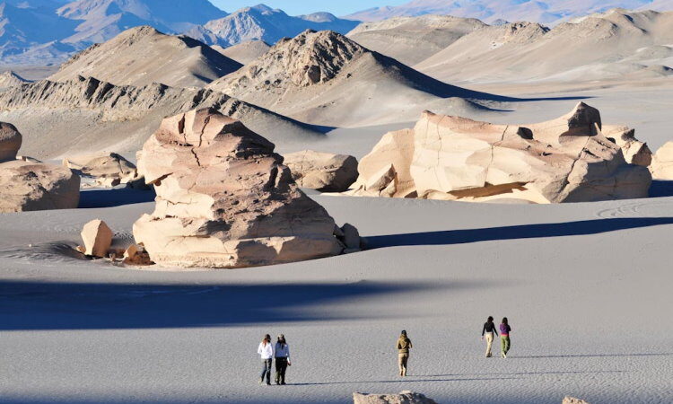 Excursion Campo de Piedra Pomez