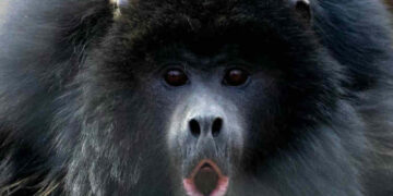 Reserva ecológica Mundo Aparte