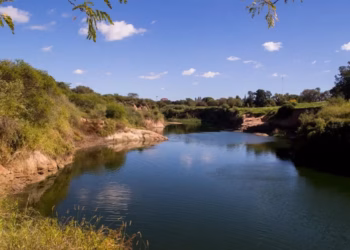 Reserva Natural de Villa Gobernador Gálvez