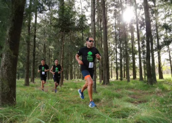 Maraton del bosque