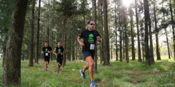 Maraton del bosque